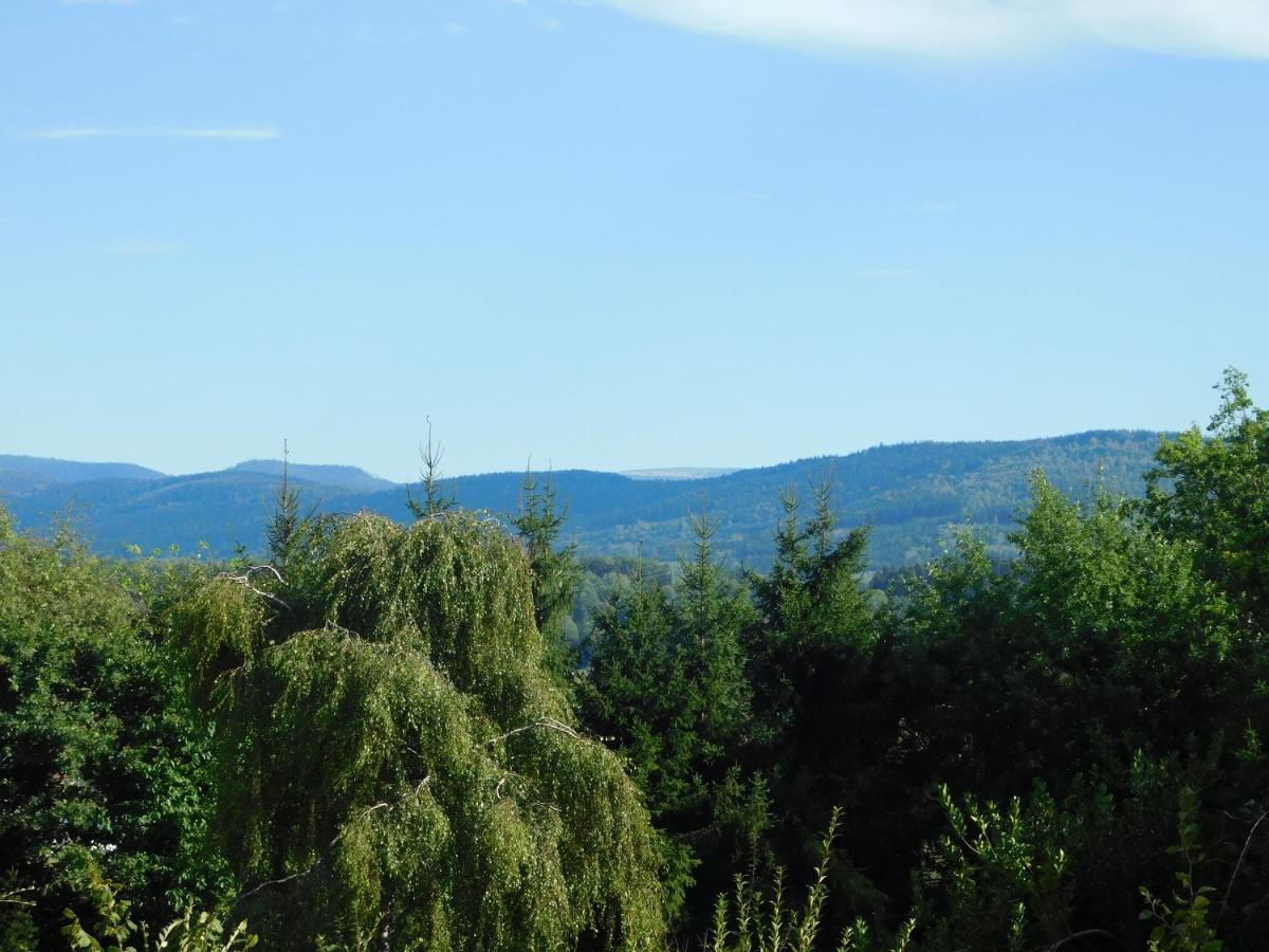 L'Amandaure Bed & Breakfast Saulcy-sur-Meurthe Dış mekan fotoğraf