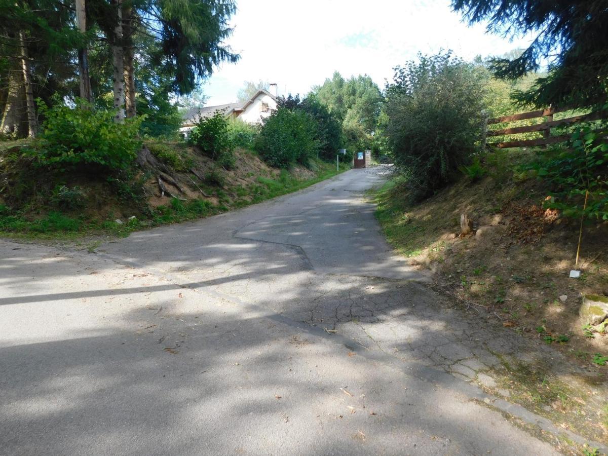 L'Amandaure Bed & Breakfast Saulcy-sur-Meurthe Dış mekan fotoğraf